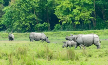 Assam & Arunachal Pradesh 7 Days / 6 Nights Itinerary