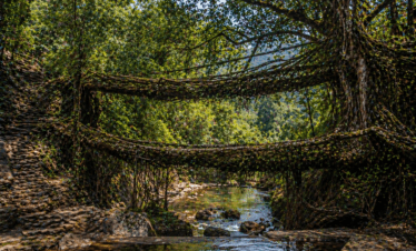6 Days / 5 Nights Kaziranga → Shillong → Cherrapunjee → Mawlynnong → Dawki (Assam & Meghalaya)
