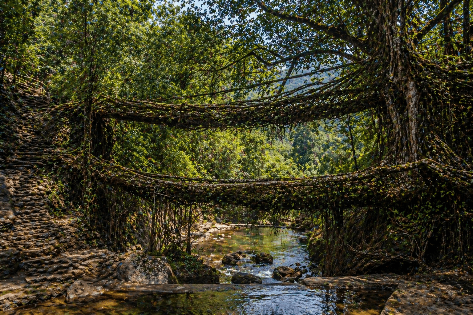 6 Days / 5 Nights Kaziranga → Shillong → Cherrapunjee → Mawlynnong → Dawki (Assam & Meghalaya)