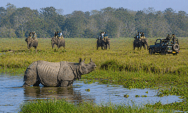 8 Days / 7 Nights Kaziranga → Shillong → Cherrapunjee → Mawlynnong → Dawki → Wahkhen Bamboo Trail (Kaziranga & Meghalaya)