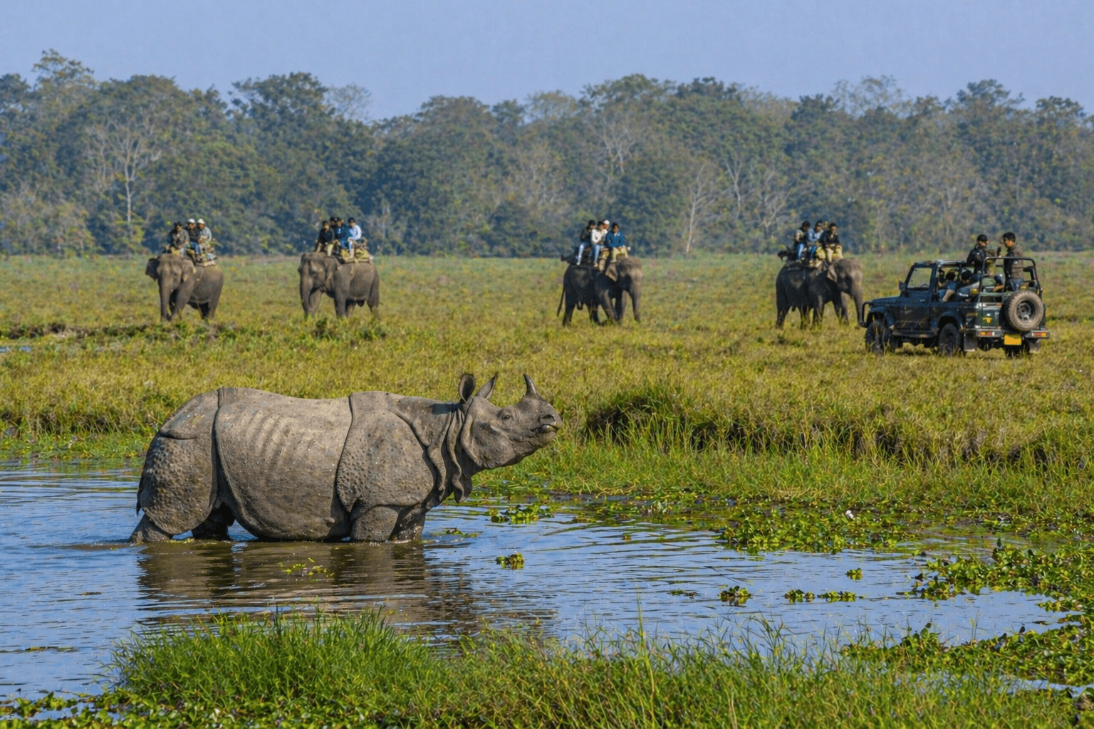 8 Days / 7 Nights Kaziranga → Shillong → Cherrapunjee → Mawlynnong → Dawki → Wahkhen Bamboo Trail (Kaziranga & Meghalaya)