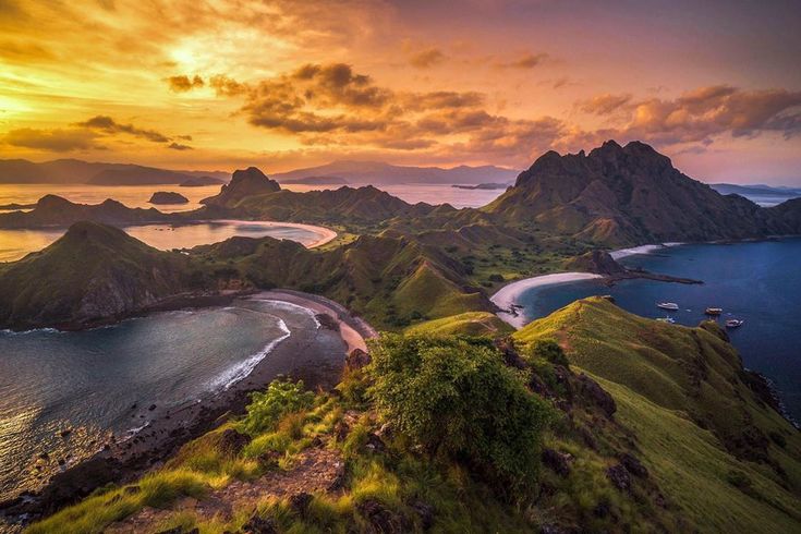 The Nature Conservancy on Instagram_ “Despite the challenges facing nature today, 2020 also holds unique potential to change the world_ From what could be a once-in-lifetime win…”